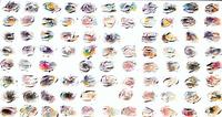 Colourful Oyster Acryl / Mischtechnik / Haptik